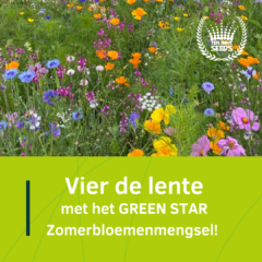 Vier de Lente met het Green star Zomerbloemenmengsel!