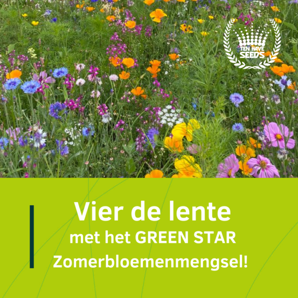 Vier de Lente met het Green star Zomerbloemenmengsel!