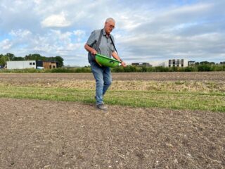 Aart den Hollander BV. zaait alle wildbloemen, akkerranden en wildmengsels van Ten Have Seeds.