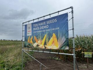 Maisdemo Ten Have Seeds Hooge Zwaluwe