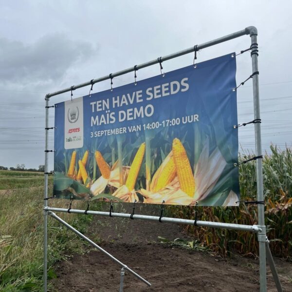Maisdemo Ten Have Seeds Hooge Zwaluwe