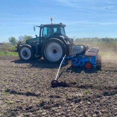 Wilt u ook topmais voor een scherpe prijs?