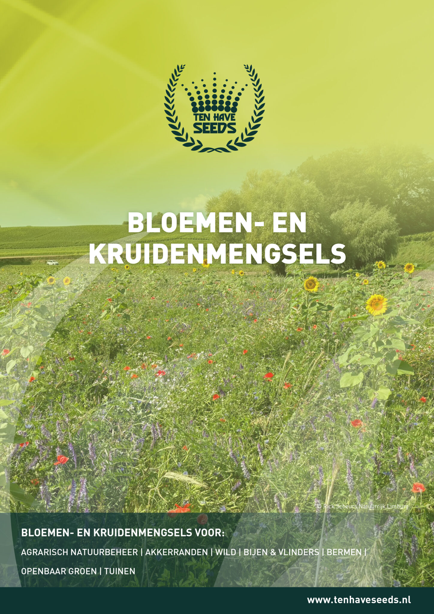 Voorzijde Ten Have Seeds bloemenfolder
